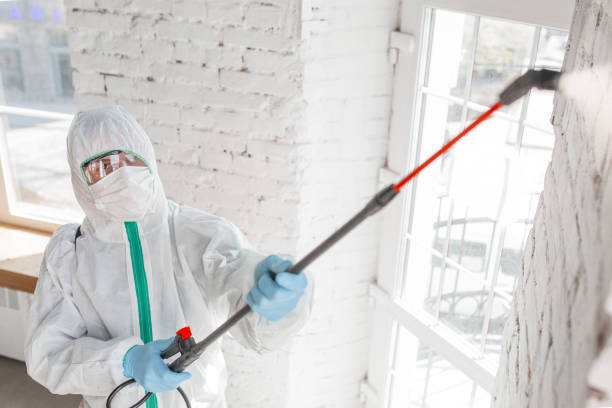 Best Mold Prevention Services  in Pennsburg, PA