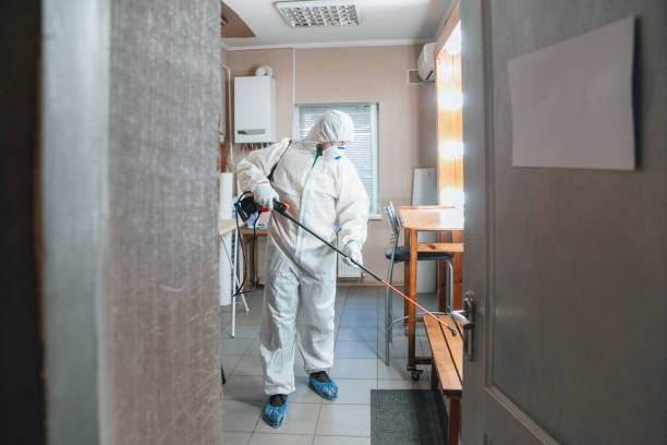 Best Black Mold Removal  in Pennsburg, PA