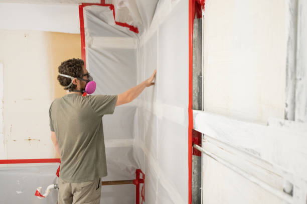 Best Mold Damage Restoration  in Pennsburg, PA