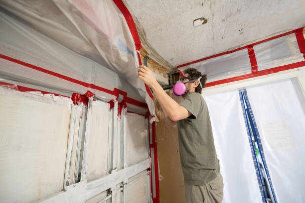 Best Attic Mold Removal  in Pennsburg, PA